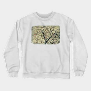 Red Apples in Empty Garden Crewneck Sweatshirt